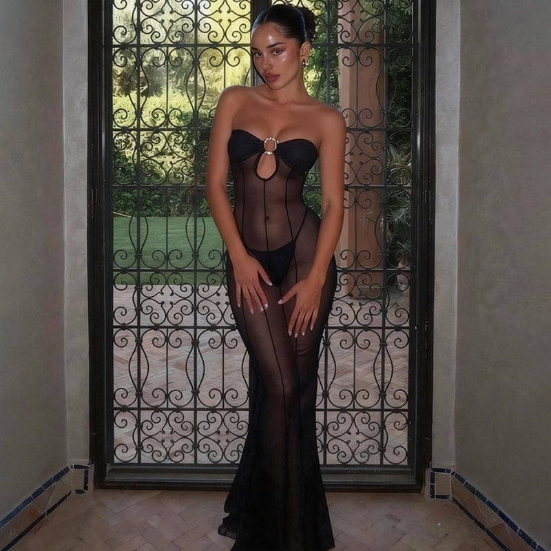 Sheer Mesh Maxi Lingerie Dress